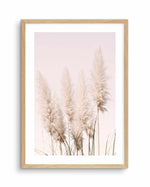 Nude Pampas I Art Print-PRINT-Olive et Oriel-Olive et Oriel-A4 | 8.3" x 11.7" | 21 x 29.7cm-Oak-With White Border-Buy-Australian-Art-Prints-Online-with-Olive-et-Oriel-Your-Artwork-Specialists-Austrailia-Decorate-With-Coastal-Photo-Wall-Art-Prints-From-Our-Beach-House-Artwork-Collection-Fine-Poster-and-Framed-Artwork