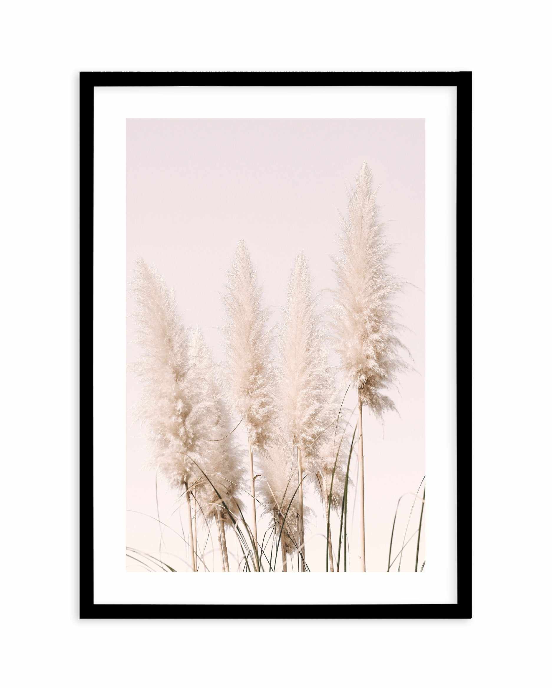 Nude Pampas I Art Print-PRINT-Olive et Oriel-Olive et Oriel-A4 | 8.3" x 11.7" | 21 x 29.7cm-Black-With White Border-Buy-Australian-Art-Prints-Online-with-Olive-et-Oriel-Your-Artwork-Specialists-Austrailia-Decorate-With-Coastal-Photo-Wall-Art-Prints-From-Our-Beach-House-Artwork-Collection-Fine-Poster-and-Framed-Artwork