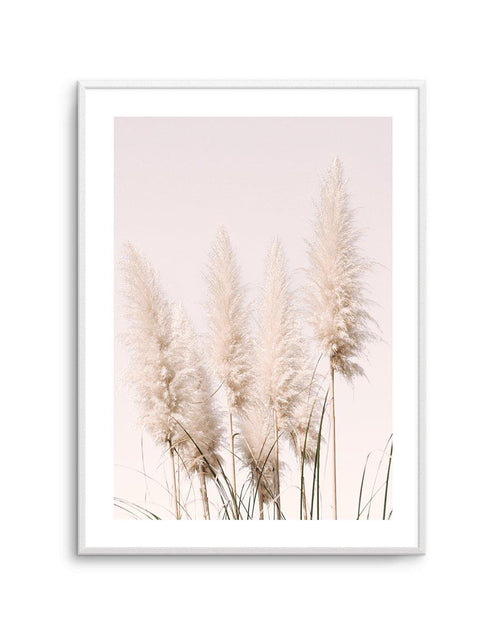 Nude Pampas I Art Print-PRINT-Olive et Oriel-Olive et Oriel-A4 | 8.3" x 11.7" | 21 x 29.7cm-Unframed Art Print-With White Border-Buy-Australian-Art-Prints-Online-with-Olive-et-Oriel-Your-Artwork-Specialists-Austrailia-Decorate-With-Coastal-Photo-Wall-Art-Prints-From-Our-Beach-House-Artwork-Collection-Fine-Poster-and-Framed-Artwork