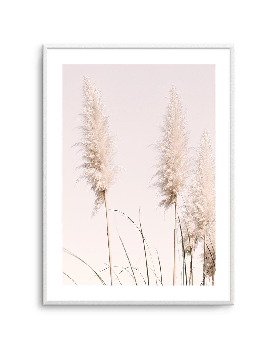 Nude Pampas II Art Print-PRINT-Olive et Oriel-Olive et Oriel-A4 | 8.3" x 11.7" | 21 x 29.7cm-Unframed Art Print-With White Border-Buy-Australian-Art-Prints-Online-with-Olive-et-Oriel-Your-Artwork-Specialists-Austrailia-Decorate-With-Coastal-Photo-Wall-Art-Prints-From-Our-Beach-House-Artwork-Collection-Fine-Poster-and-Framed-Artwork