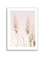 Nude Pampas II Art Print-PRINT-Olive et Oriel-Olive et Oriel-A4 | 8.3" x 11.7" | 21 x 29.7cm-Unframed Art Print-With White Border-Buy-Australian-Art-Prints-Online-with-Olive-et-Oriel-Your-Artwork-Specialists-Austrailia-Decorate-With-Coastal-Photo-Wall-Art-Prints-From-Our-Beach-House-Artwork-Collection-Fine-Poster-and-Framed-Artwork