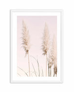 Nude Pampas II Art Print-PRINT-Olive et Oriel-Olive et Oriel-A4 | 8.3" x 11.7" | 21 x 29.7cm-White-With White Border-Buy-Australian-Art-Prints-Online-with-Olive-et-Oriel-Your-Artwork-Specialists-Austrailia-Decorate-With-Coastal-Photo-Wall-Art-Prints-From-Our-Beach-House-Artwork-Collection-Fine-Poster-and-Framed-Artwork