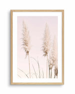 Nude Pampas II Art Print-PRINT-Olive et Oriel-Olive et Oriel-A4 | 8.3" x 11.7" | 21 x 29.7cm-Oak-With White Border-Buy-Australian-Art-Prints-Online-with-Olive-et-Oriel-Your-Artwork-Specialists-Austrailia-Decorate-With-Coastal-Photo-Wall-Art-Prints-From-Our-Beach-House-Artwork-Collection-Fine-Poster-and-Framed-Artwork