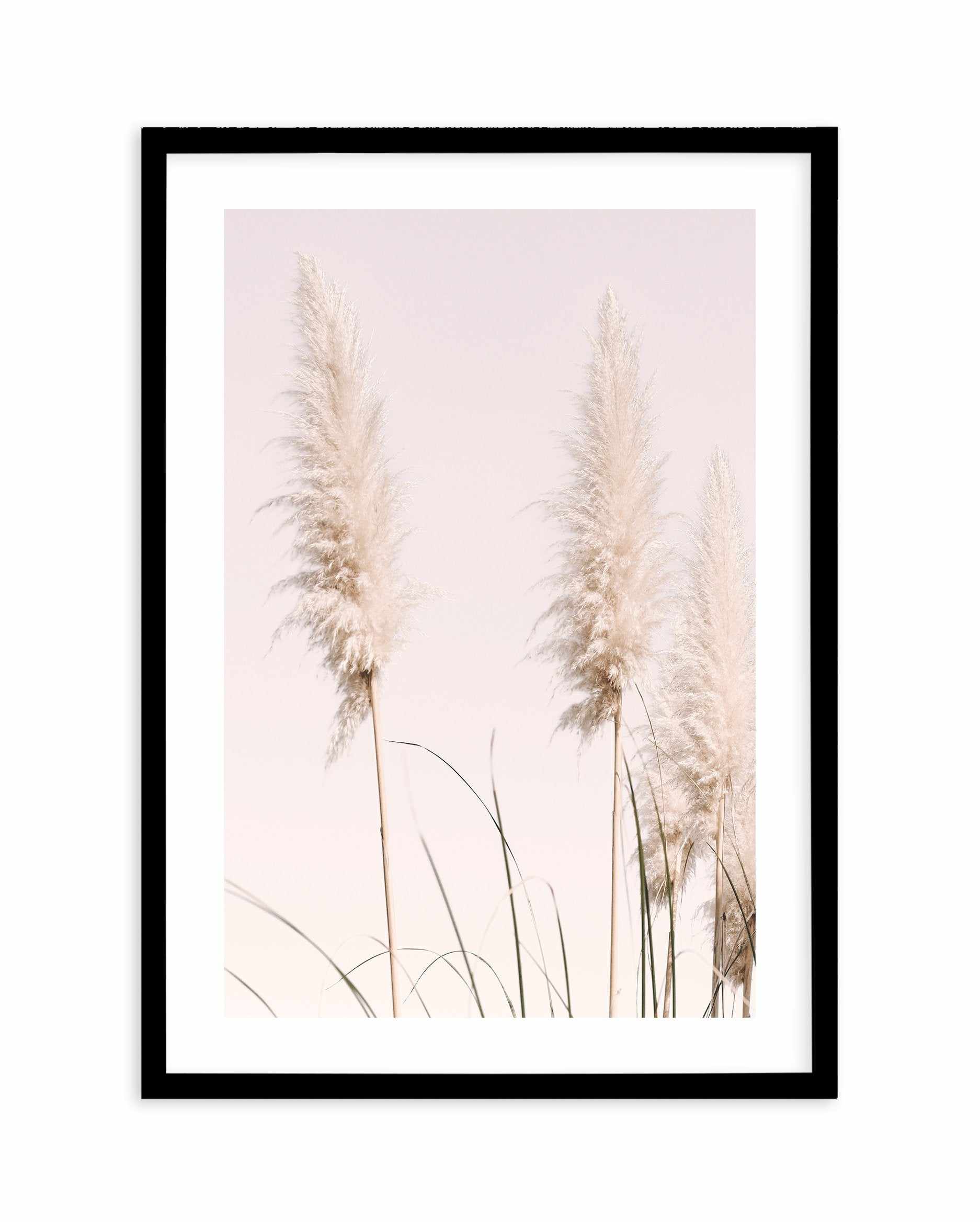 Nude Pampas II Art Print-PRINT-Olive et Oriel-Olive et Oriel-A4 | 8.3" x 11.7" | 21 x 29.7cm-Black-With White Border-Buy-Australian-Art-Prints-Online-with-Olive-et-Oriel-Your-Artwork-Specialists-Austrailia-Decorate-With-Coastal-Photo-Wall-Art-Prints-From-Our-Beach-House-Artwork-Collection-Fine-Poster-and-Framed-Artwork