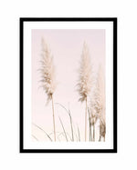 Nude Pampas II Art Print-PRINT-Olive et Oriel-Olive et Oriel-A4 | 8.3" x 11.7" | 21 x 29.7cm-Black-With White Border-Buy-Australian-Art-Prints-Online-with-Olive-et-Oriel-Your-Artwork-Specialists-Austrailia-Decorate-With-Coastal-Photo-Wall-Art-Prints-From-Our-Beach-House-Artwork-Collection-Fine-Poster-and-Framed-Artwork