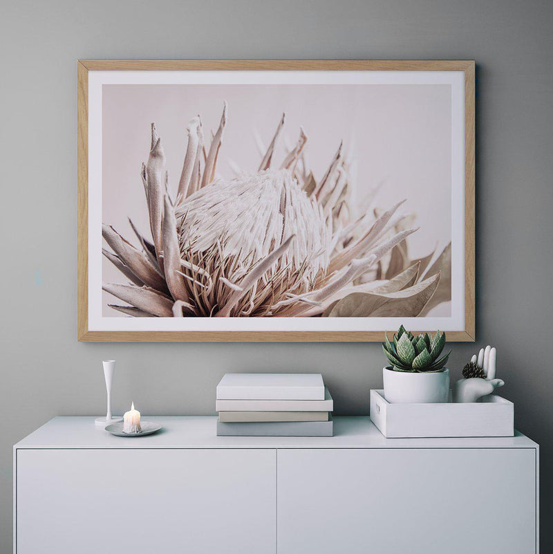 Nude Protea | LS Art Print-PRINT-Olive et Oriel-Olive et Oriel-Buy-Australian-Art-Prints-Online-with-Olive-et-Oriel-Your-Artwork-Specialists-Austrailia-Decorate-With-Coastal-Photo-Wall-Art-Prints-From-Our-Beach-House-Artwork-Collection-Fine-Poster-and-Framed-Artwork