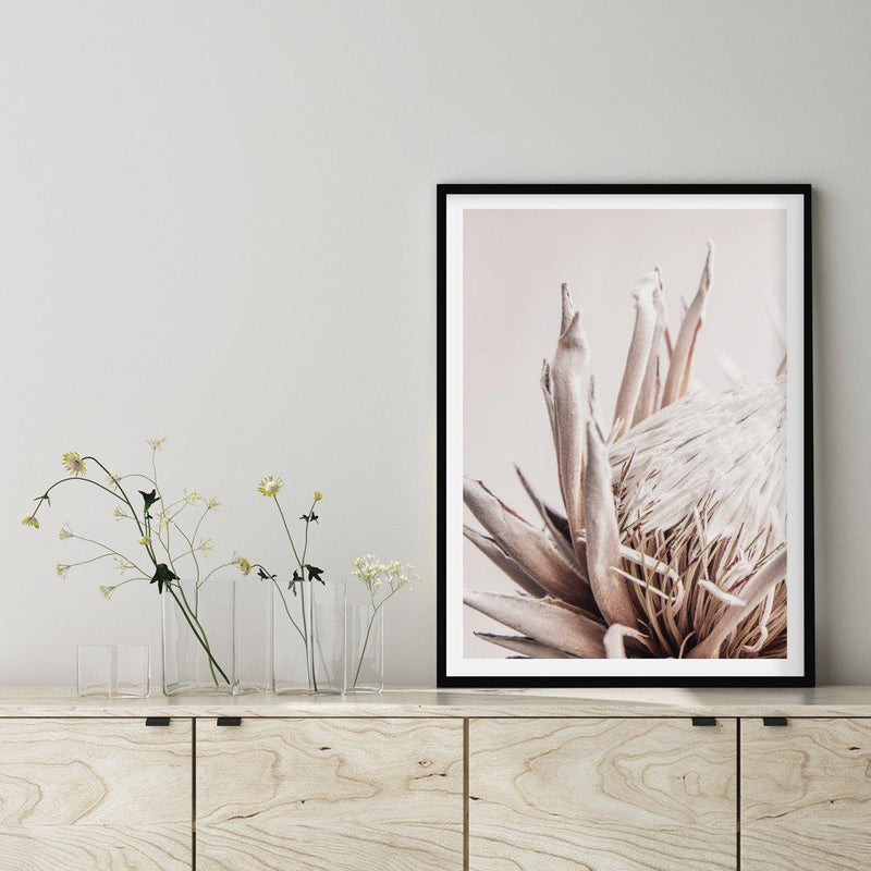 Nude Protea | PT Art Print-PRINT-Olive et Oriel-Olive et Oriel-Buy-Australian-Art-Prints-Online-with-Olive-et-Oriel-Your-Artwork-Specialists-Austrailia-Decorate-With-Coastal-Photo-Wall-Art-Prints-From-Our-Beach-House-Artwork-Collection-Fine-Poster-and-Framed-Artwork