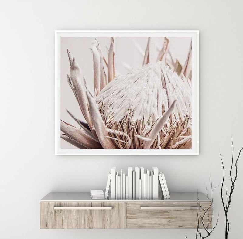 Nude Protea SQ Art Print-PRINT-Olive et Oriel-Olive et Oriel-Buy-Australian-Art-Prints-Online-with-Olive-et-Oriel-Your-Artwork-Specialists-Austrailia-Decorate-With-Coastal-Photo-Wall-Art-Prints-From-Our-Beach-House-Artwork-Collection-Fine-Poster-and-Framed-Artwork