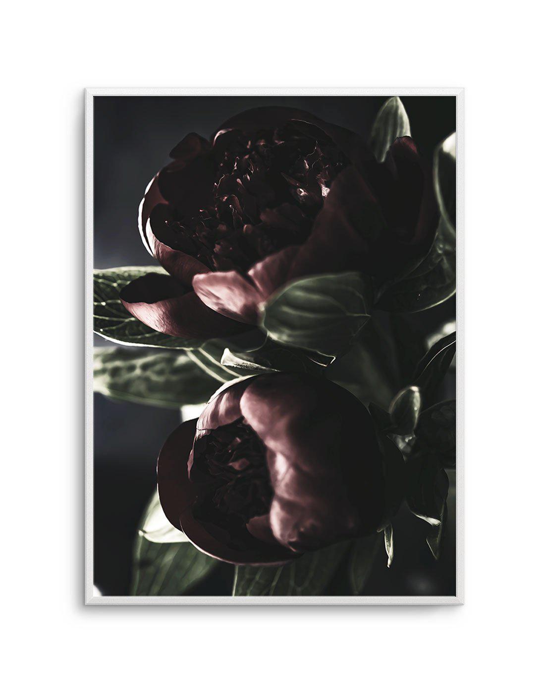 Nuit des Fleurs | Dark Peonies Art Print-PRINT-Olive et Oriel-Olive et Oriel-A4 | 8.3" x 11.7" | 21 x 29.7cm-Unframed Art Print-With White Border-Buy-Australian-Art-Prints-Online-with-Olive-et-Oriel-Your-Artwork-Specialists-Austrailia-Decorate-With-Coastal-Photo-Wall-Art-Prints-From-Our-Beach-House-Artwork-Collection-Fine-Poster-and-Framed-Artwork