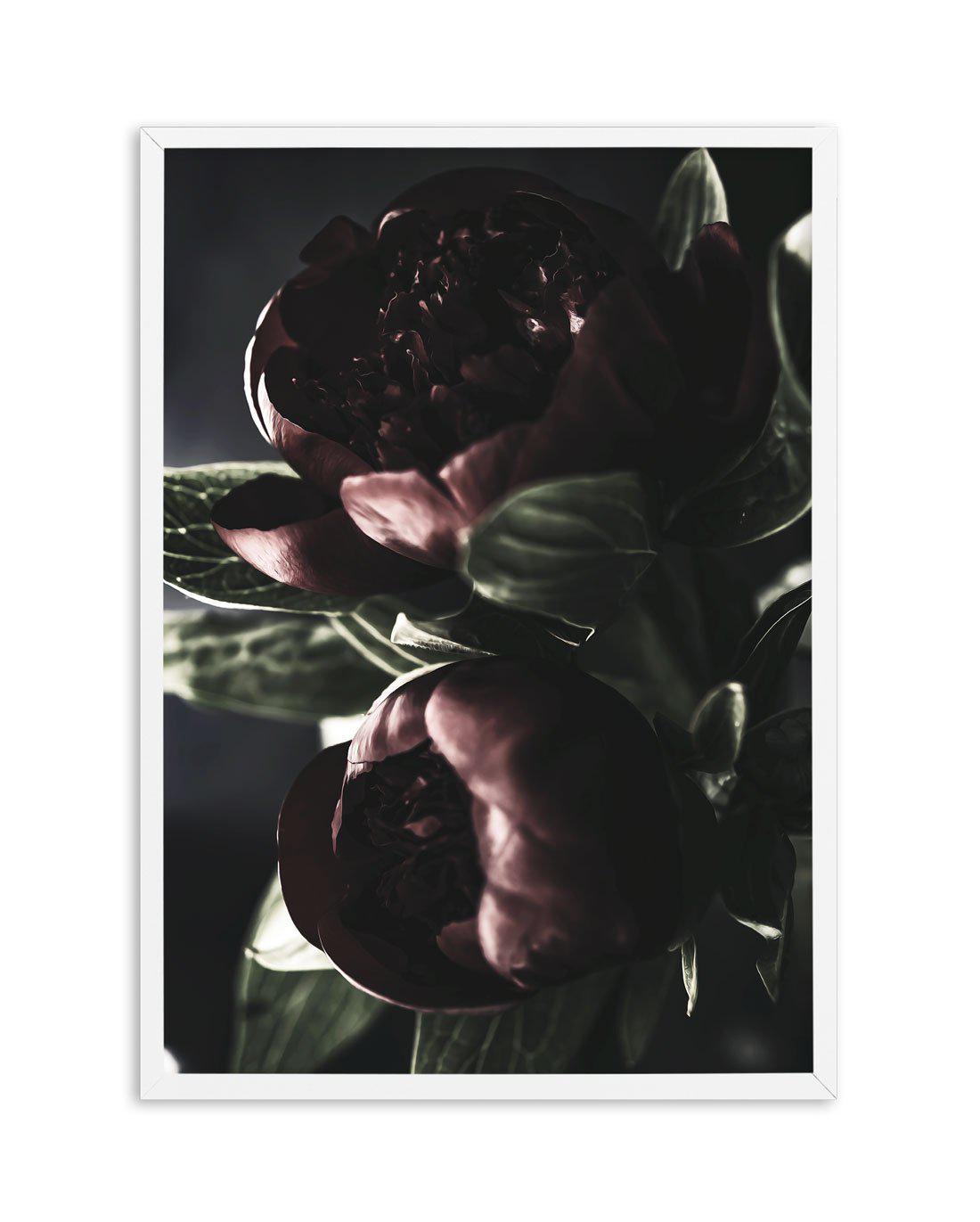 Nuit des Fleurs | Dark Peonies Art Print-PRINT-Olive et Oriel-Olive et Oriel-A4 | 8.3" x 11.7" | 21 x 29.7cm-White-With White Border-Buy-Australian-Art-Prints-Online-with-Olive-et-Oriel-Your-Artwork-Specialists-Austrailia-Decorate-With-Coastal-Photo-Wall-Art-Prints-From-Our-Beach-House-Artwork-Collection-Fine-Poster-and-Framed-Artwork