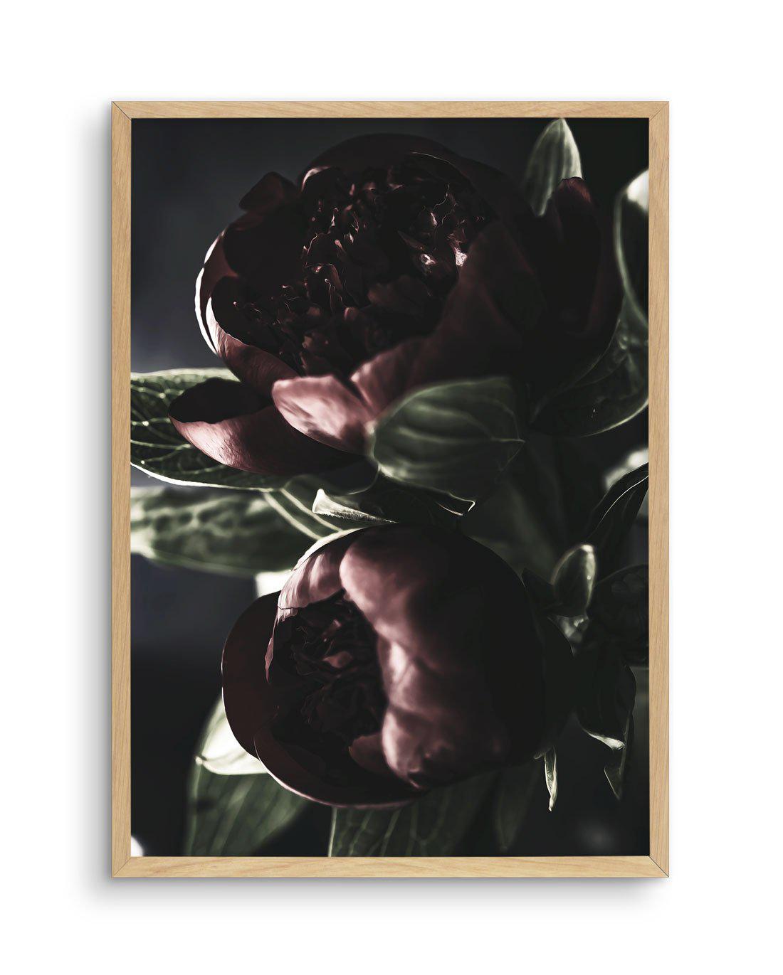 Nuit des Fleurs | Dark Peonies Art Print-PRINT-Olive et Oriel-Olive et Oriel-A4 | 8.3" x 11.7" | 21 x 29.7cm-Oak-With White Border-Buy-Australian-Art-Prints-Online-with-Olive-et-Oriel-Your-Artwork-Specialists-Austrailia-Decorate-With-Coastal-Photo-Wall-Art-Prints-From-Our-Beach-House-Artwork-Collection-Fine-Poster-and-Framed-Artwork