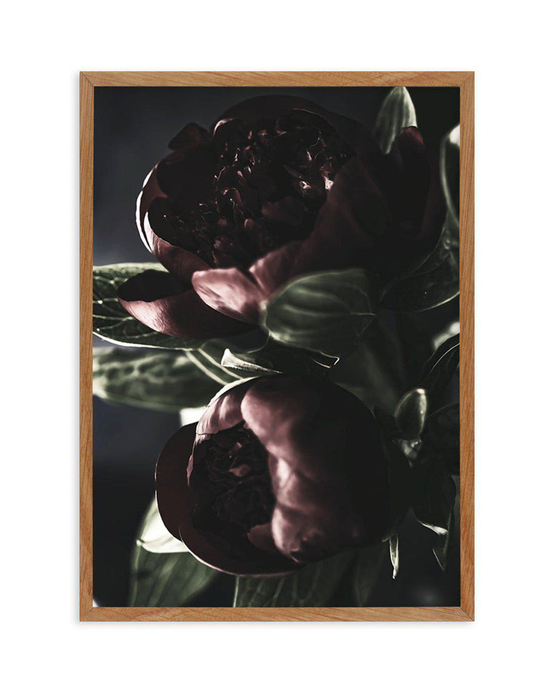 Nuit des Fleurs | Dark Peonies Art Print-PRINT-Olive et Oriel-Olive et Oriel-50x70 cm | 19.6" x 27.5"-Walnut-With White Border-Buy-Australian-Art-Prints-Online-with-Olive-et-Oriel-Your-Artwork-Specialists-Austrailia-Decorate-With-Coastal-Photo-Wall-Art-Prints-From-Our-Beach-House-Artwork-Collection-Fine-Poster-and-Framed-Artwork