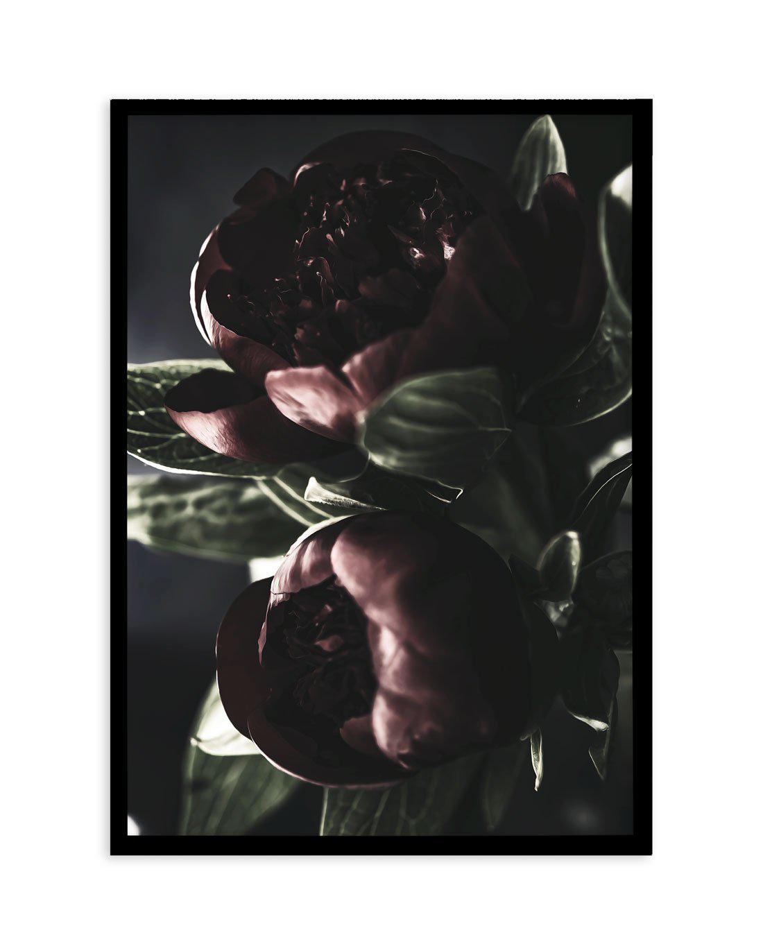 Nuit des Fleurs | Dark Peonies Art Print-PRINT-Olive et Oriel-Olive et Oriel-A4 | 8.3" x 11.7" | 21 x 29.7cm-Black-With White Border-Buy-Australian-Art-Prints-Online-with-Olive-et-Oriel-Your-Artwork-Specialists-Austrailia-Decorate-With-Coastal-Photo-Wall-Art-Prints-From-Our-Beach-House-Artwork-Collection-Fine-Poster-and-Framed-Artwork