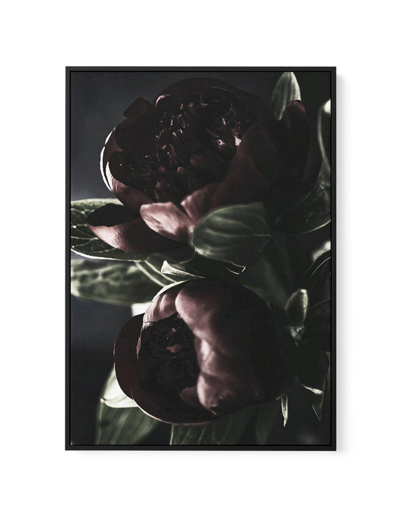 Nuit des Fleurs | Dark Peonies | Framed Canvas-CANVAS-You can shop wall art online with Olive et Oriel for everything from abstract art to fun kids wall art. Our beautiful modern art prints and canvas art are available from large canvas prints to wall art paintings and our proudly Australian artwork collection offers only the highest quality framed large wall art and canvas art Australia - You can buy fashion photography prints or Hampton print posters and paintings on canvas from Olive et Oriel