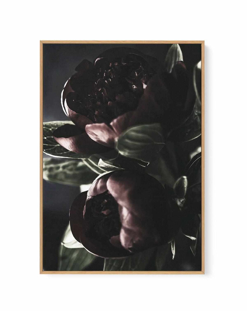 Nuit des Fleurs | Dark Peonies | Framed Canvas Art Print