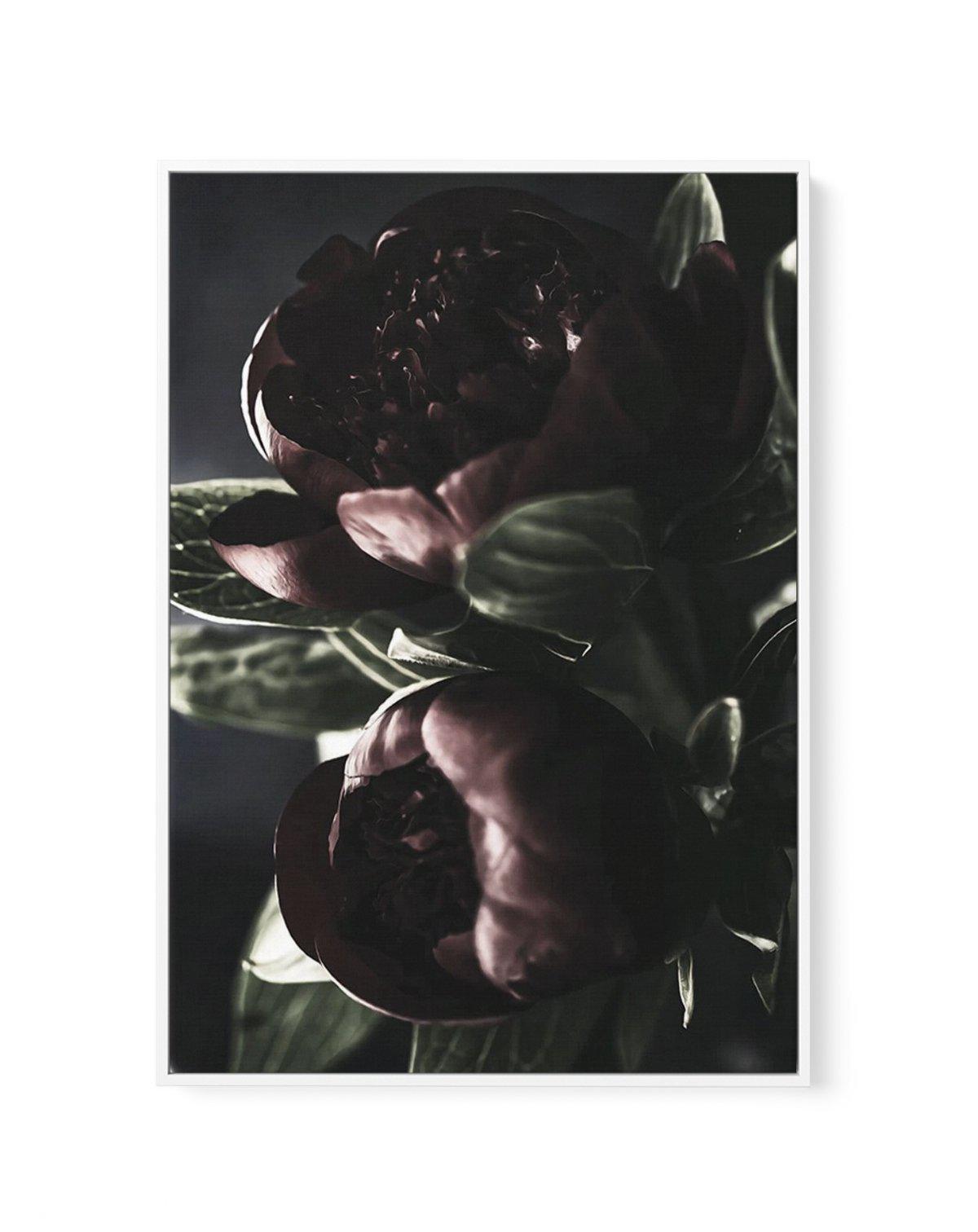 Nuit des Fleurs | Dark Peonies | Framed Canvas-CANVAS-You can shop wall art online with Olive et Oriel for everything from abstract art to fun kids wall art. Our beautiful modern art prints and canvas art are available from large canvas prints to wall art paintings and our proudly Australian artwork collection offers only the highest quality framed large wall art and canvas art Australia - You can buy fashion photography prints or Hampton print posters and paintings on canvas from Olive et Oriel