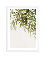 Olive Garden I Art Print-PRINT-Olive et Oriel-Olive et Oriel-A5 | 5.8" x 8.3" | 14.8 x 21cm-White-With White Border-Buy-Australian-Art-Prints-Online-with-Olive-et-Oriel-Your-Artwork-Specialists-Austrailia-Decorate-With-Coastal-Photo-Wall-Art-Prints-From-Our-Beach-House-Artwork-Collection-Fine-Poster-and-Framed-Artwork