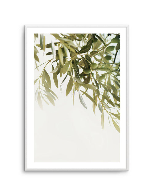 Olive Garden I Art Print-PRINT-Olive et Oriel-Olive et Oriel-A5 | 5.8" x 8.3" | 14.8 x 21cm-Unframed Art Print-With White Border-Buy-Australian-Art-Prints-Online-with-Olive-et-Oriel-Your-Artwork-Specialists-Austrailia-Decorate-With-Coastal-Photo-Wall-Art-Prints-From-Our-Beach-House-Artwork-Collection-Fine-Poster-and-Framed-Artwork