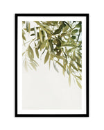Olive Garden I Art Print-PRINT-Olive et Oriel-Olive et Oriel-A5 | 5.8" x 8.3" | 14.8 x 21cm-Black-With White Border-Buy-Australian-Art-Prints-Online-with-Olive-et-Oriel-Your-Artwork-Specialists-Austrailia-Decorate-With-Coastal-Photo-Wall-Art-Prints-From-Our-Beach-House-Artwork-Collection-Fine-Poster-and-Framed-Artwork