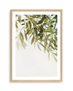Olive Garden I Art Print-PRINT-Olive et Oriel-Olive et Oriel-A5 | 5.8" x 8.3" | 14.8 x 21cm-Oak-With White Border-Buy-Australian-Art-Prints-Online-with-Olive-et-Oriel-Your-Artwork-Specialists-Austrailia-Decorate-With-Coastal-Photo-Wall-Art-Prints-From-Our-Beach-House-Artwork-Collection-Fine-Poster-and-Framed-Artwork
