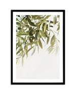 Olive Garden II Art Print-PRINT-Olive et Oriel-Olive et Oriel-A5 | 5.8" x 8.3" | 14.8 x 21cm-Black-With White Border-Buy-Australian-Art-Prints-Online-with-Olive-et-Oriel-Your-Artwork-Specialists-Austrailia-Decorate-With-Coastal-Photo-Wall-Art-Prints-From-Our-Beach-House-Artwork-Collection-Fine-Poster-and-Framed-Artwork