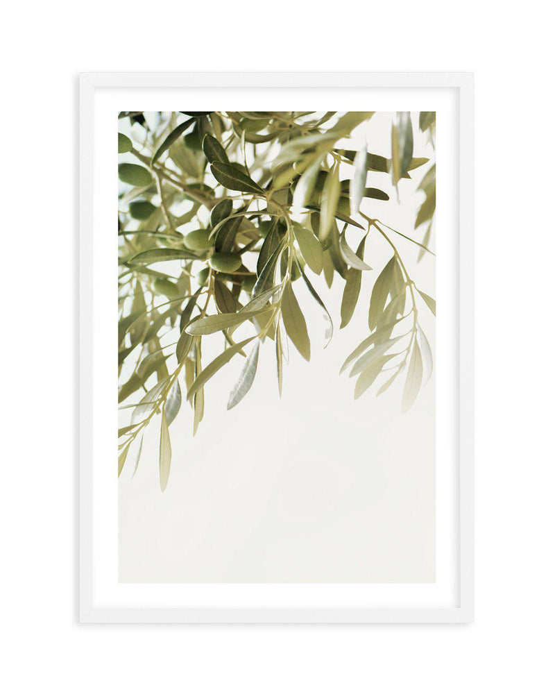 Olive Garden II Art Print-PRINT-Olive et Oriel-Olive et Oriel-A5 | 5.8" x 8.3" | 14.8 x 21cm-White-With White Border-Buy-Australian-Art-Prints-Online-with-Olive-et-Oriel-Your-Artwork-Specialists-Austrailia-Decorate-With-Coastal-Photo-Wall-Art-Prints-From-Our-Beach-House-Artwork-Collection-Fine-Poster-and-Framed-Artwork