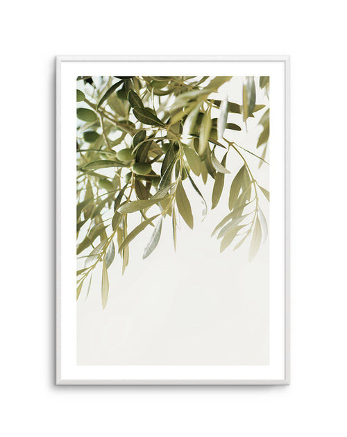 Olive Garden II Art Print-PRINT-Olive et Oriel-Olive et Oriel-A5 | 5.8" x 8.3" | 14.8 x 21cm-Unframed Art Print-With White Border-Buy-Australian-Art-Prints-Online-with-Olive-et-Oriel-Your-Artwork-Specialists-Austrailia-Decorate-With-Coastal-Photo-Wall-Art-Prints-From-Our-Beach-House-Artwork-Collection-Fine-Poster-and-Framed-Artwork