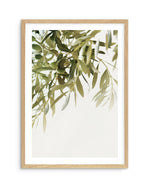Olive Garden II Art Print-PRINT-Olive et Oriel-Olive et Oriel-A5 | 5.8" x 8.3" | 14.8 x 21cm-Oak-With White Border-Buy-Australian-Art-Prints-Online-with-Olive-et-Oriel-Your-Artwork-Specialists-Austrailia-Decorate-With-Coastal-Photo-Wall-Art-Prints-From-Our-Beach-House-Artwork-Collection-Fine-Poster-and-Framed-Artwork