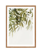 Olive Garden II Art Print-PRINT-Olive et Oriel-Olive et Oriel-50x70 cm | 19.6" x 27.5"-Walnut-With White Border-Buy-Australian-Art-Prints-Online-with-Olive-et-Oriel-Your-Artwork-Specialists-Austrailia-Decorate-With-Coastal-Photo-Wall-Art-Prints-From-Our-Beach-House-Artwork-Collection-Fine-Poster-and-Framed-Artwork