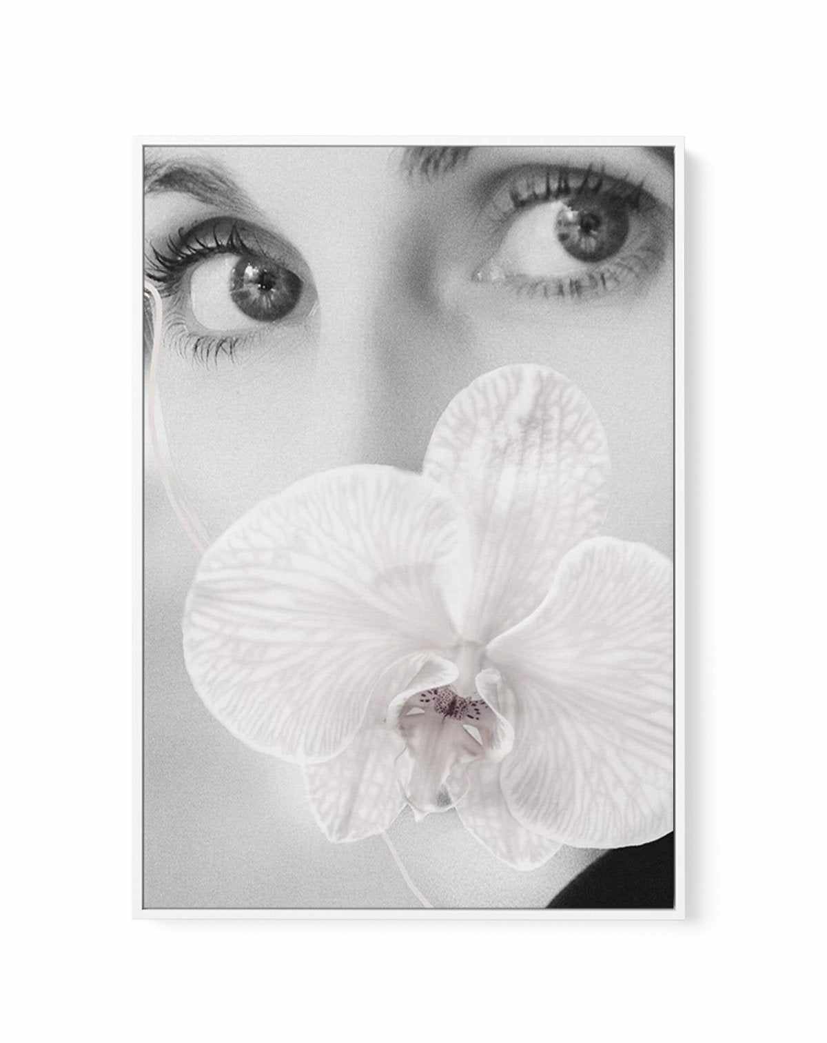 Orchids Girl I | Framed Canvas-CANVAS-You can shop wall art online with Olive et Oriel for everything from abstract art to fun kids wall art. Our beautiful modern art prints and canvas art are available from large canvas prints to wall art paintings and our proudly Australian artwork collection offers only the highest quality framed large wall art and canvas art Australia - You can buy fashion photography prints or Hampton print posters and paintings on canvas from Olive et Oriel and have them d