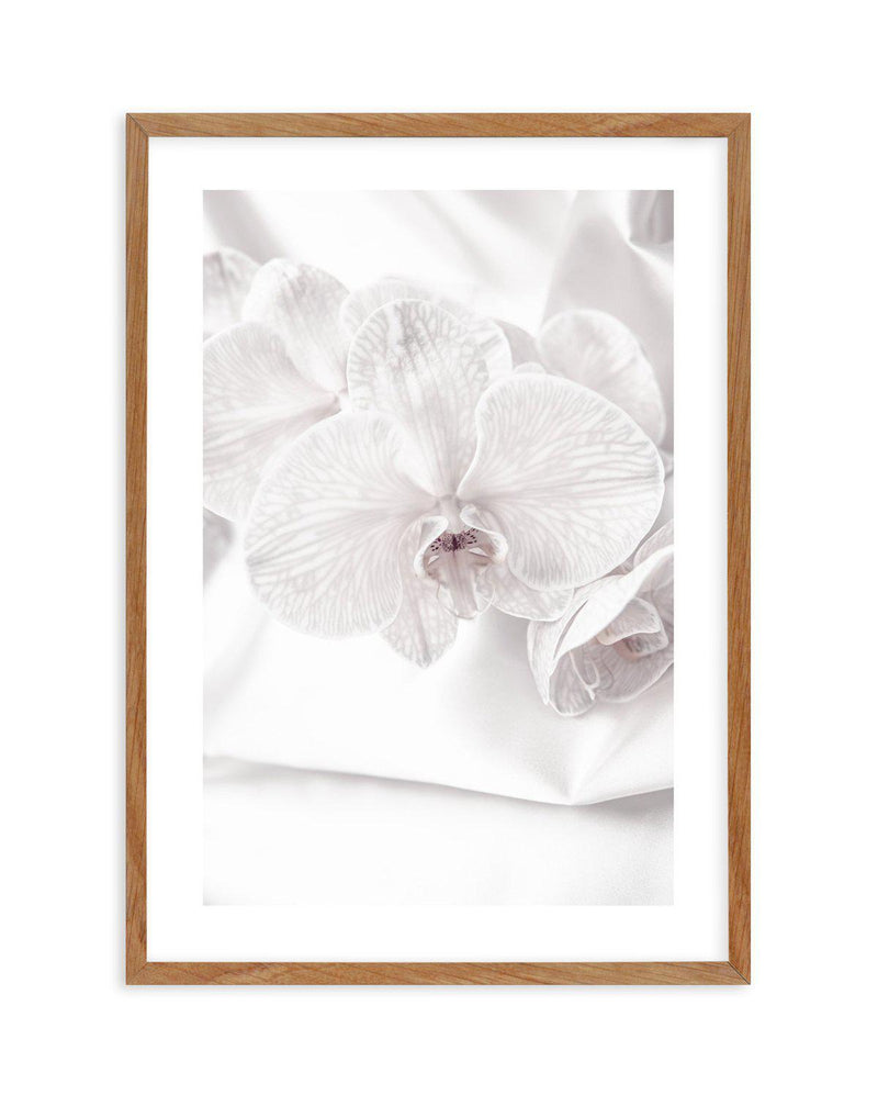 Orchids I Art Print-PRINT-Olive et Oriel-Olive et Oriel-50x70 cm | 19.6" x 27.5"-Walnut-With White Border-Buy-Australian-Art-Prints-Online-with-Olive-et-Oriel-Your-Artwork-Specialists-Austrailia-Decorate-With-Coastal-Photo-Wall-Art-Prints-From-Our-Beach-House-Artwork-Collection-Fine-Poster-and-Framed-Artwork