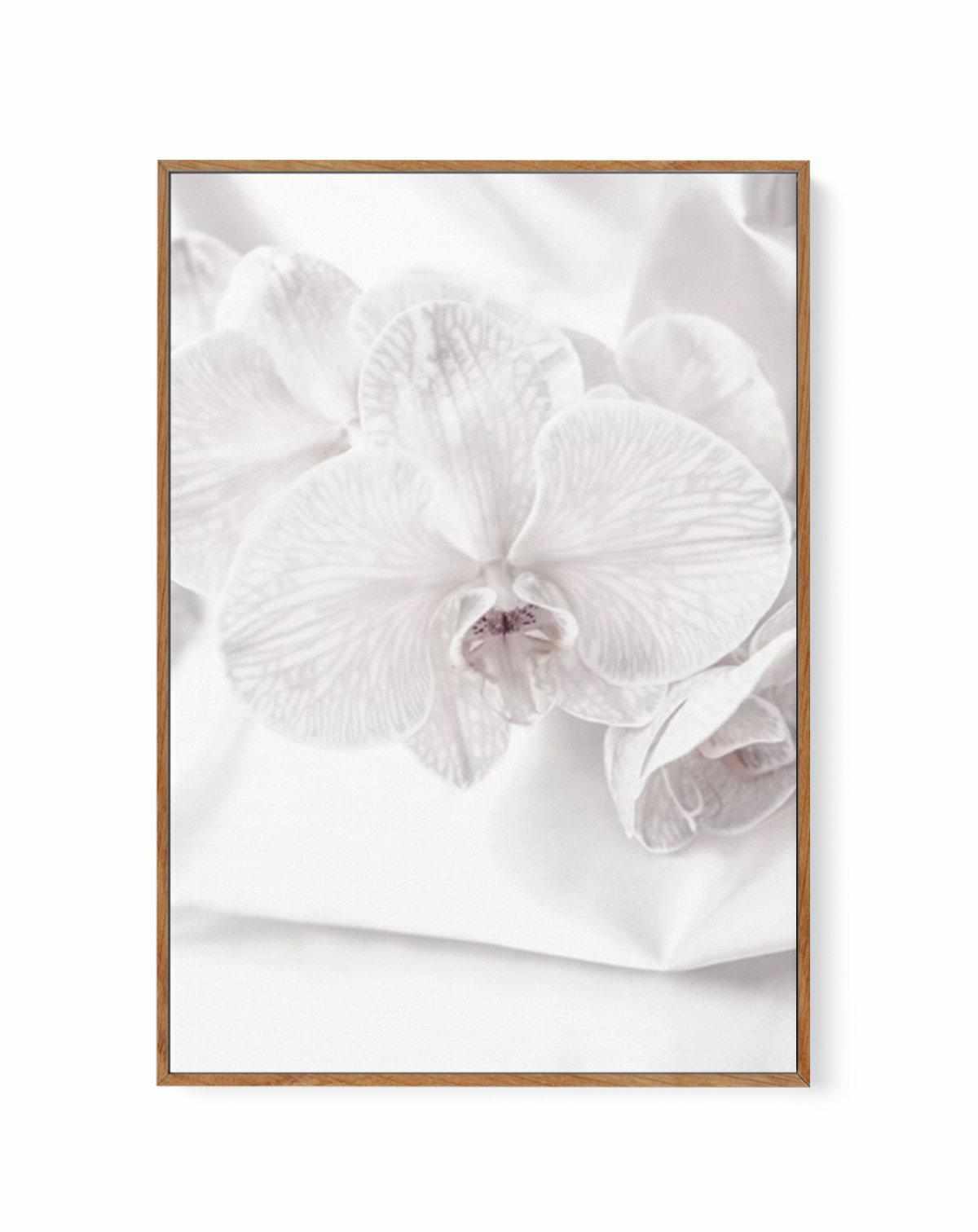 Orchids I | Framed Canvas