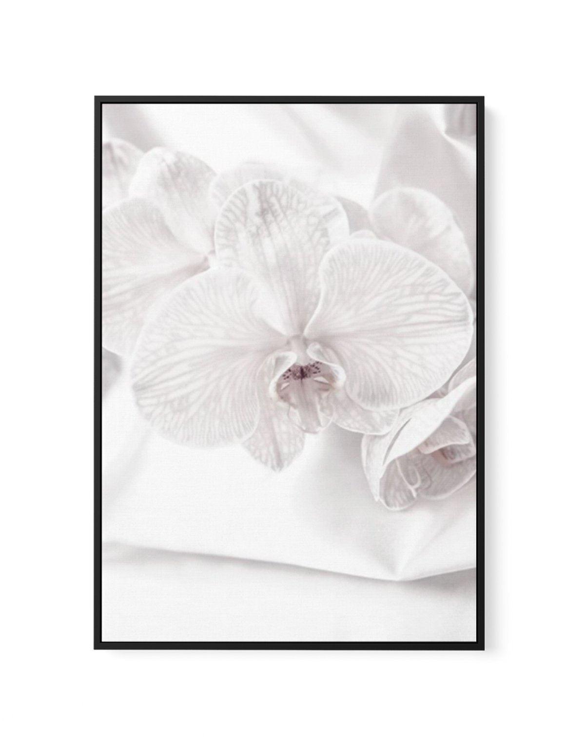 Orchids I | Framed Canvas-CANVAS-You can shop wall art online with Olive et Oriel for everything from abstract art to fun kids wall art. Our beautiful modern art prints and canvas art are available from large canvas prints to wall art paintings and our proudly Australian artwork collection offers only the highest quality framed large wall art and canvas art Australia - You can buy fashion photography prints or Hampton print posters and paintings on canvas from Olive et Oriel and have them delive