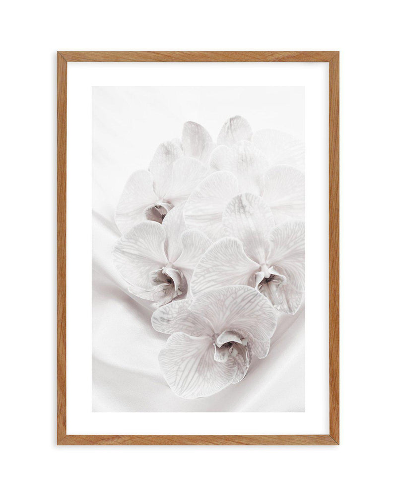 Orchids III Art Print-PRINT-Olive et Oriel-Olive et Oriel-50x70 cm | 19.6" x 27.5"-Walnut-With White Border-Buy-Australian-Art-Prints-Online-with-Olive-et-Oriel-Your-Artwork-Specialists-Austrailia-Decorate-With-Coastal-Photo-Wall-Art-Prints-From-Our-Beach-House-Artwork-Collection-Fine-Poster-and-Framed-Artwork