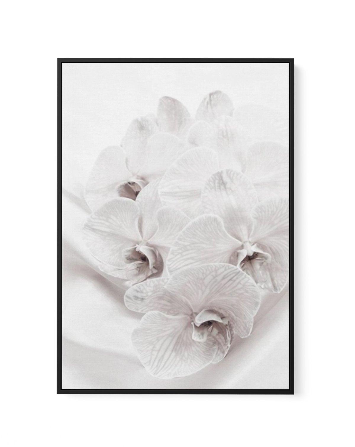 Orchids III | Framed Canvas-CANVAS-You can shop wall art online with Olive et Oriel for everything from abstract art to fun kids wall art. Our beautiful modern art prints and canvas art are available from large canvas prints to wall art paintings and our proudly Australian artwork collection offers only the highest quality framed large wall art and canvas art Australia - You can buy fashion photography prints or Hampton print posters and paintings on canvas from Olive et Oriel and have them deli