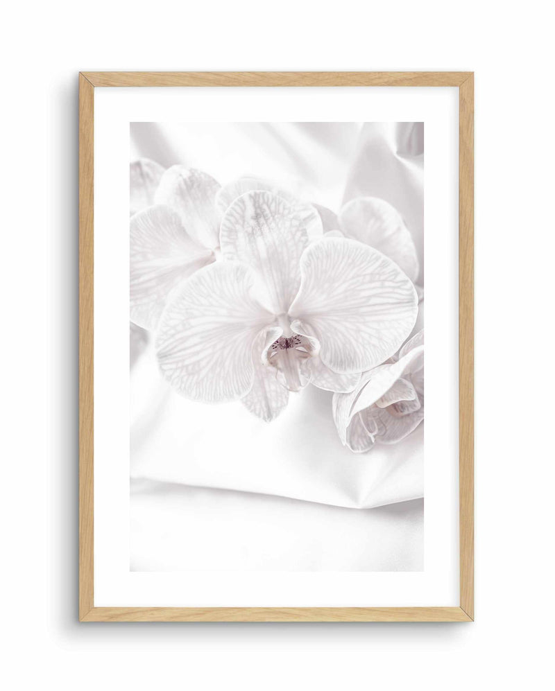 Orchids I Art Print-PRINT-Olive et Oriel-Olive et Oriel-A4 | 8.3" x 11.7" | 21 x 29.7cm-Oak-With White Border-Buy-Australian-Art-Prints-Online-with-Olive-et-Oriel-Your-Artwork-Specialists-Austrailia-Decorate-With-Coastal-Photo-Wall-Art-Prints-From-Our-Beach-House-Artwork-Collection-Fine-Poster-and-Framed-Artwork