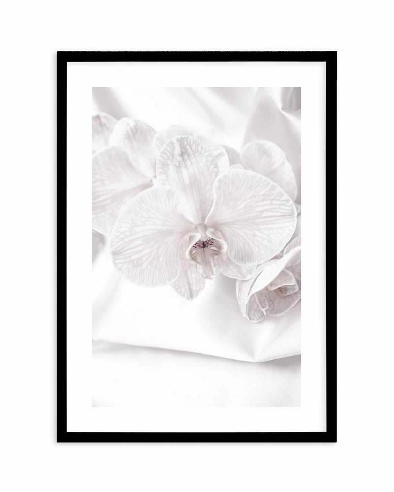 Orchids I Art Print-PRINT-Olive et Oriel-Olive et Oriel-A4 | 8.3" x 11.7" | 21 x 29.7cm-Black-With White Border-Buy-Australian-Art-Prints-Online-with-Olive-et-Oriel-Your-Artwork-Specialists-Austrailia-Decorate-With-Coastal-Photo-Wall-Art-Prints-From-Our-Beach-House-Artwork-Collection-Fine-Poster-and-Framed-Artwork