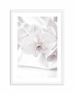 Orchids I Art Print-PRINT-Olive et Oriel-Olive et Oriel-A4 | 8.3" x 11.7" | 21 x 29.7cm-White-With White Border-Buy-Australian-Art-Prints-Online-with-Olive-et-Oriel-Your-Artwork-Specialists-Austrailia-Decorate-With-Coastal-Photo-Wall-Art-Prints-From-Our-Beach-House-Artwork-Collection-Fine-Poster-and-Framed-Artwork