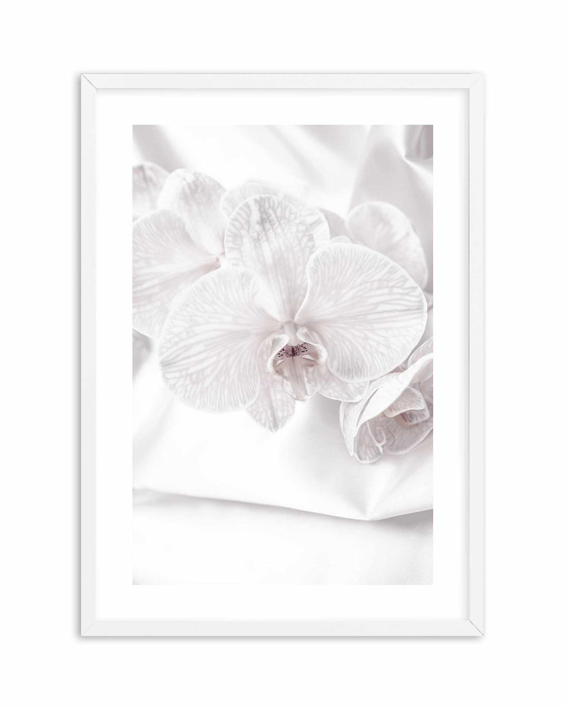 Orchids I Art Print-PRINT-Olive et Oriel-Olive et Oriel-A4 | 8.3" x 11.7" | 21 x 29.7cm-White-With White Border-Buy-Australian-Art-Prints-Online-with-Olive-et-Oriel-Your-Artwork-Specialists-Austrailia-Decorate-With-Coastal-Photo-Wall-Art-Prints-From-Our-Beach-House-Artwork-Collection-Fine-Poster-and-Framed-Artwork