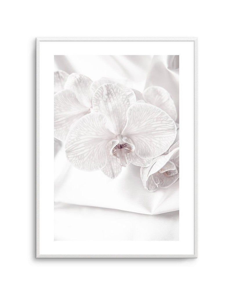 Orchids I Art Print-PRINT-Olive et Oriel-Olive et Oriel-A4 | 8.3" x 11.7" | 21 x 29.7cm-Unframed Art Print-With White Border-Buy-Australian-Art-Prints-Online-with-Olive-et-Oriel-Your-Artwork-Specialists-Austrailia-Decorate-With-Coastal-Photo-Wall-Art-Prints-From-Our-Beach-House-Artwork-Collection-Fine-Poster-and-Framed-Artwork