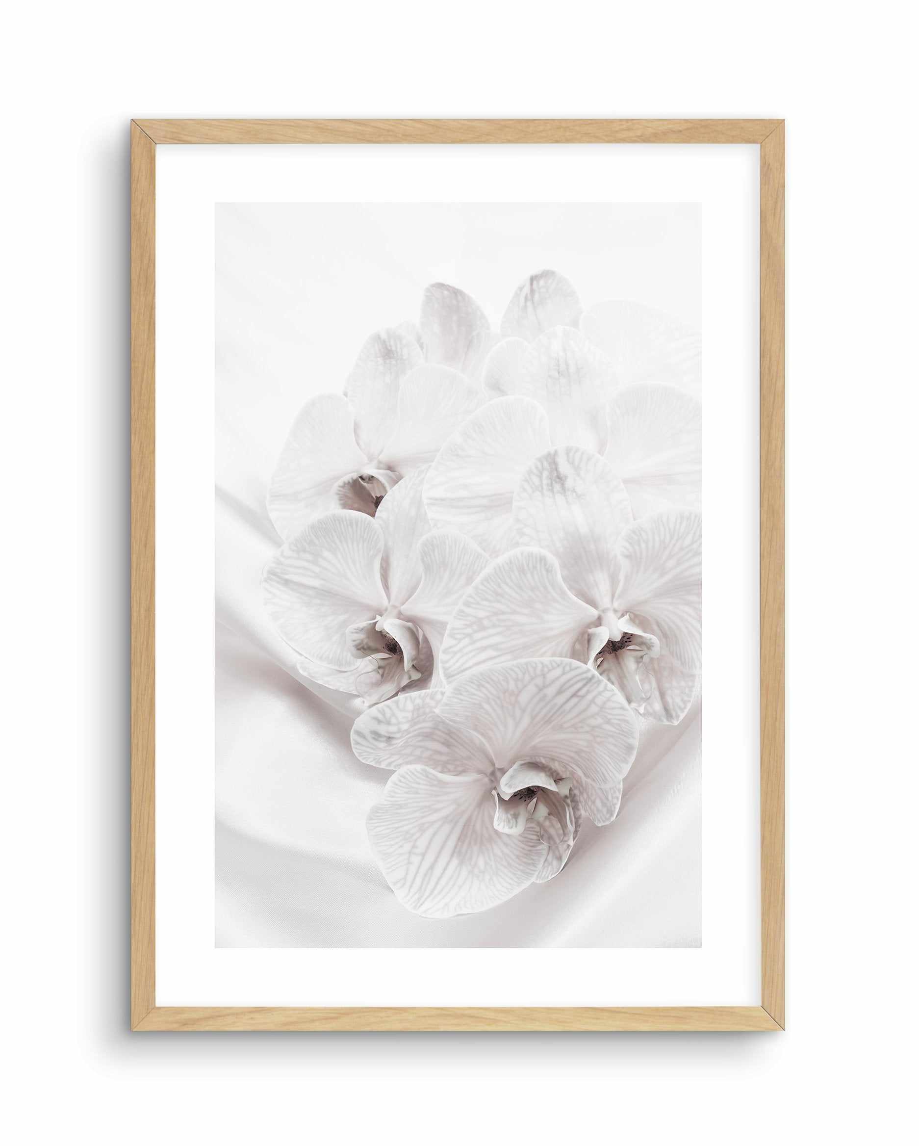 Orchids III Art Print-PRINT-Olive et Oriel-Olive et Oriel-A4 | 8.3" x 11.7" | 21 x 29.7cm-Oak-With White Border-Buy-Australian-Art-Prints-Online-with-Olive-et-Oriel-Your-Artwork-Specialists-Austrailia-Decorate-With-Coastal-Photo-Wall-Art-Prints-From-Our-Beach-House-Artwork-Collection-Fine-Poster-and-Framed-Artwork