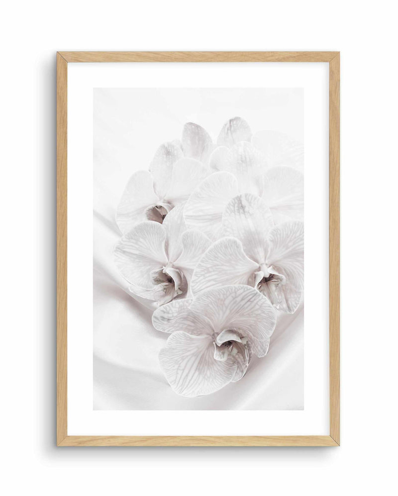 Orchids III Art Print-PRINT-Olive et Oriel-Olive et Oriel-A4 | 8.3" x 11.7" | 21 x 29.7cm-Oak-With White Border-Buy-Australian-Art-Prints-Online-with-Olive-et-Oriel-Your-Artwork-Specialists-Austrailia-Decorate-With-Coastal-Photo-Wall-Art-Prints-From-Our-Beach-House-Artwork-Collection-Fine-Poster-and-Framed-Artwork