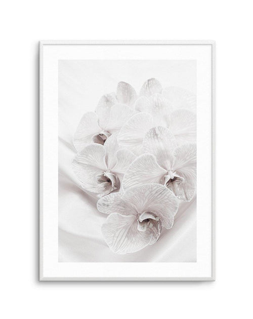 Orchids III Art Print-PRINT-Olive et Oriel-Olive et Oriel-A4 | 8.3" x 11.7" | 21 x 29.7cm-Unframed Art Print-With White Border-Buy-Australian-Art-Prints-Online-with-Olive-et-Oriel-Your-Artwork-Specialists-Austrailia-Decorate-With-Coastal-Photo-Wall-Art-Prints-From-Our-Beach-House-Artwork-Collection-Fine-Poster-and-Framed-Artwork