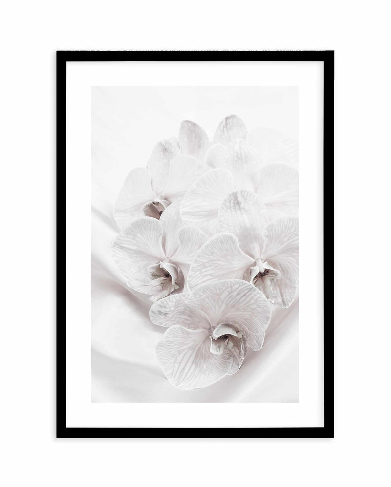 Orchids III Art Print-PRINT-Olive et Oriel-Olive et Oriel-A4 | 8.3" x 11.7" | 21 x 29.7cm-Black-With White Border-Buy-Australian-Art-Prints-Online-with-Olive-et-Oriel-Your-Artwork-Specialists-Austrailia-Decorate-With-Coastal-Photo-Wall-Art-Prints-From-Our-Beach-House-Artwork-Collection-Fine-Poster-and-Framed-Artwork
