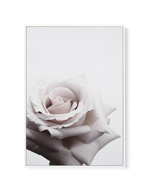 Oscar Rose | Framed Canvas-CANVAS-You can shop wall art online with Olive et Oriel for everything from abstract art to fun kids wall art. Our beautiful modern art prints and canvas art are available from large canvas prints to wall art paintings and our proudly Australian artwork collection offers only the highest quality framed large wall art and canvas art Australia - You can buy fashion photography prints or Hampton print posters and paintings on canvas from Olive et Oriel and have them deliv
