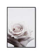 Oscar Rose | Framed Canvas-CANVAS-You can shop wall art online with Olive et Oriel for everything from abstract art to fun kids wall art. Our beautiful modern art prints and canvas art are available from large canvas prints to wall art paintings and our proudly Australian artwork collection offers only the highest quality framed large wall art and canvas art Australia - You can buy fashion photography prints or Hampton print posters and paintings on canvas from Olive et Oriel and have them deliv