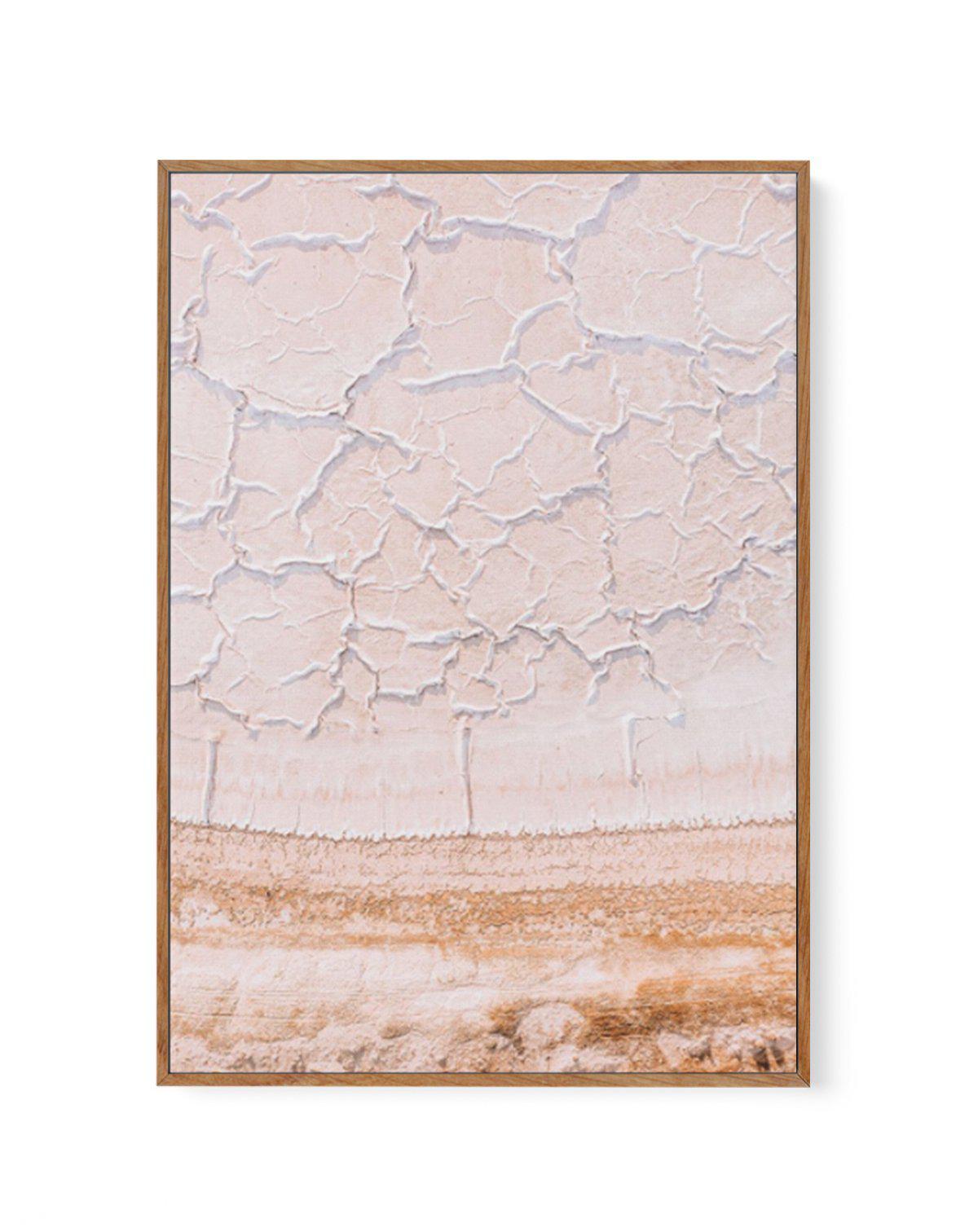 Our Blushing Land I | Framed Canvas-CANVAS-You can shop wall art online with Olive et Oriel for everything from abstract art to fun kids wall art. Our beautiful modern art prints and canvas art are available from large canvas prints to wall art paintings and our proudly Australian artwork collection offers only the highest quality framed large wall art and canvas art Australia - You can buy fashion photography prints or Hampton print posters and paintings on canvas from Olive et Oriel and have t