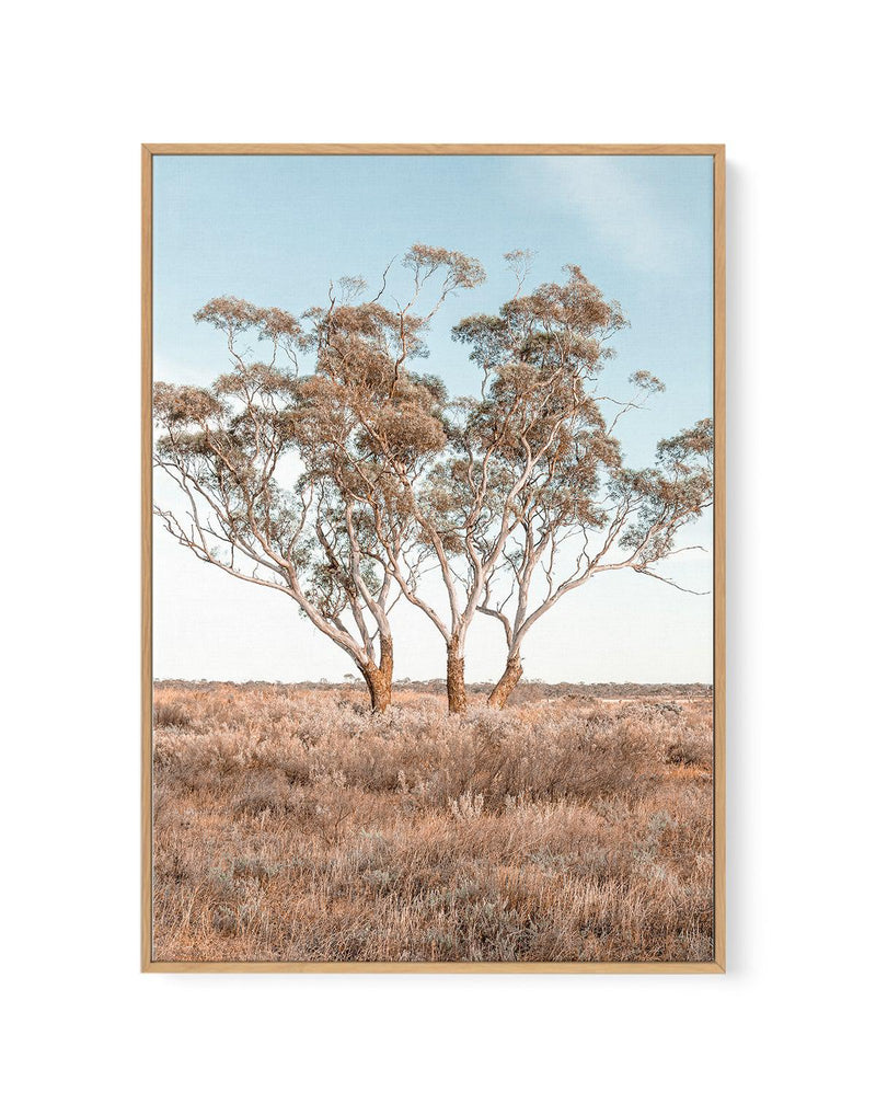 Out West PT | Framed Canvas-CANVAS-You can shop wall art online with Olive et Oriel for everything from abstract art to fun kids wall art. Our beautiful modern art prints and canvas art are available from large canvas prints to wall art paintings and our proudly Australian artwork collection offers only the highest quality framed large wall art and canvas art Australia - You can buy fashion photography prints or Hampton print posters and paintings on canvas from Olive et Oriel and have them deli