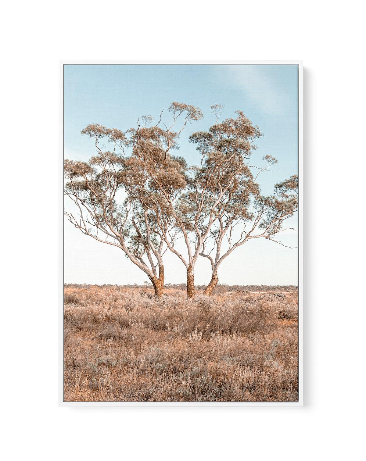 Out West PT | Framed Canvas-CANVAS-You can shop wall art online with Olive et Oriel for everything from abstract art to fun kids wall art. Our beautiful modern art prints and canvas art are available from large canvas prints to wall art paintings and our proudly Australian artwork collection offers only the highest quality framed large wall art and canvas art Australia - You can buy fashion photography prints or Hampton print posters and paintings on canvas from Olive et Oriel and have them deli