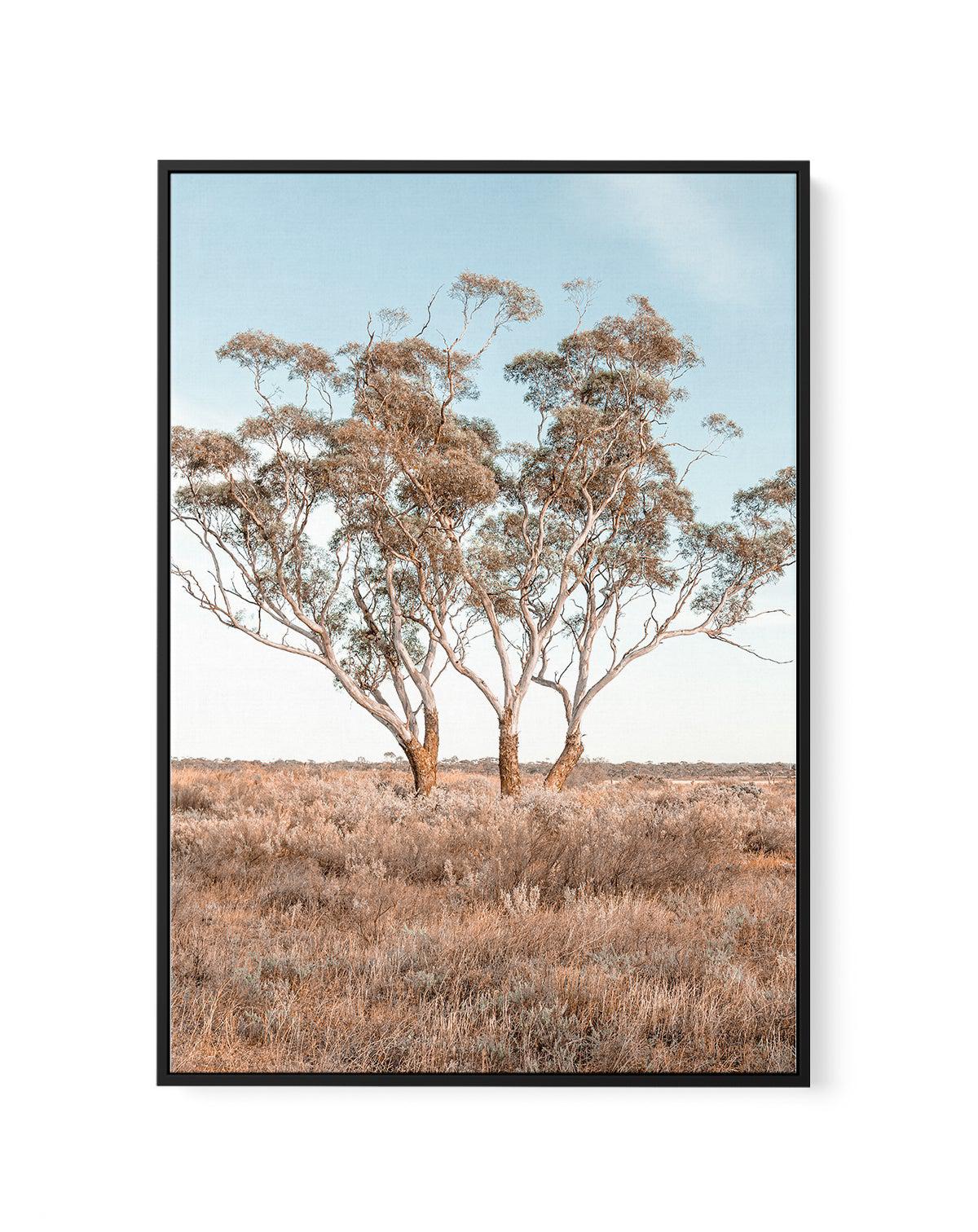 Out West PT | Framed Canvas-CANVAS-You can shop wall art online with Olive et Oriel for everything from abstract art to fun kids wall art. Our beautiful modern art prints and canvas art are available from large canvas prints to wall art paintings and our proudly Australian artwork collection offers only the highest quality framed large wall art and canvas art Australia - You can buy fashion photography prints or Hampton print posters and paintings on canvas from Olive et Oriel and have them deli